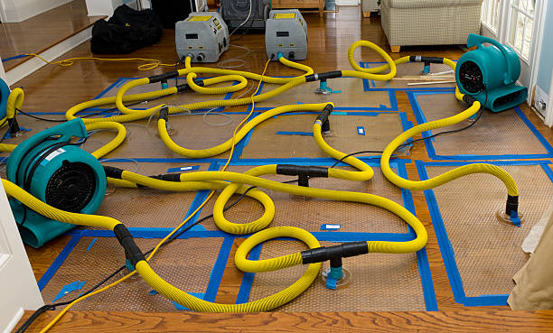Professional Sewage Cleanup technician working in Center City, MN